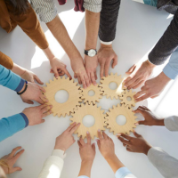 The Clinical Trial Process: From Conception to Execution